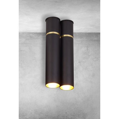 Lynx Flush Ceiling Light