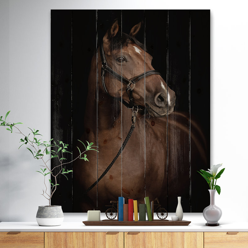 Portrait de cheval Portrait de cheval - Photographie sur, H 20 po x l 12 po x P 1 po