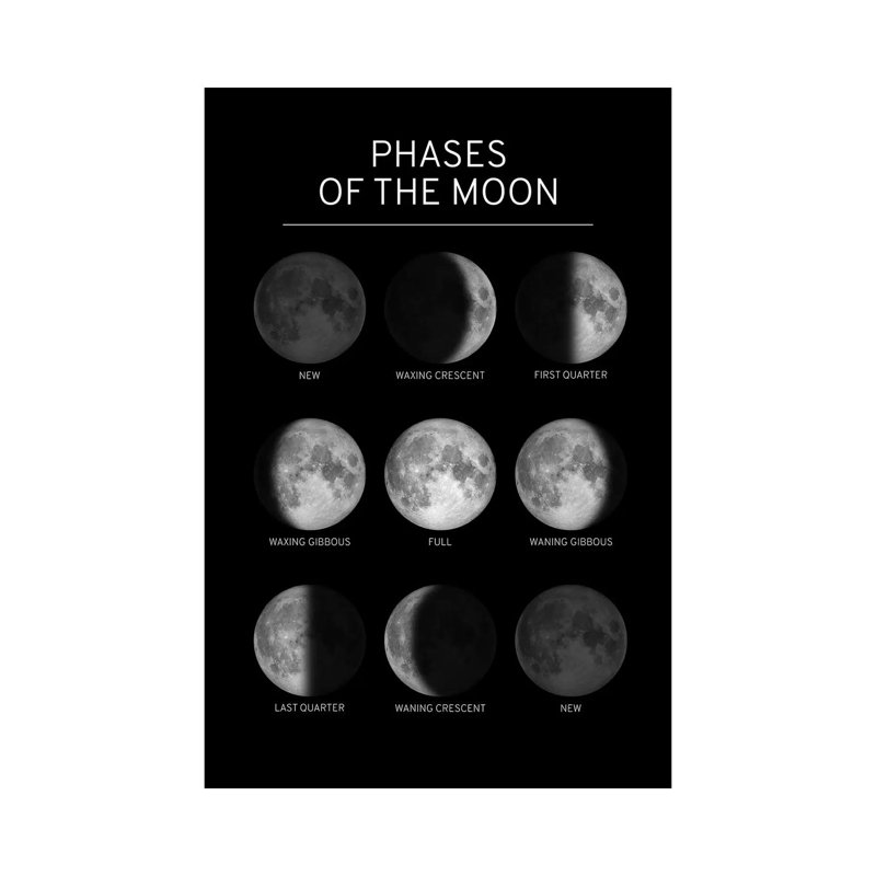 Phases Of The Moon Chart - Black by GetYourNerdOn - Wrapped Canvas Print, 20.32 cm H x 30.48 cm W