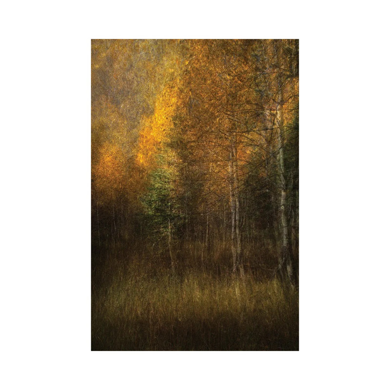 Woods 1 Piece Wall Art on Canvas, 66.04 cm H x 45.72 cm W x 3.175 cm D, Wrapped Canvas