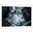 Toile tendue