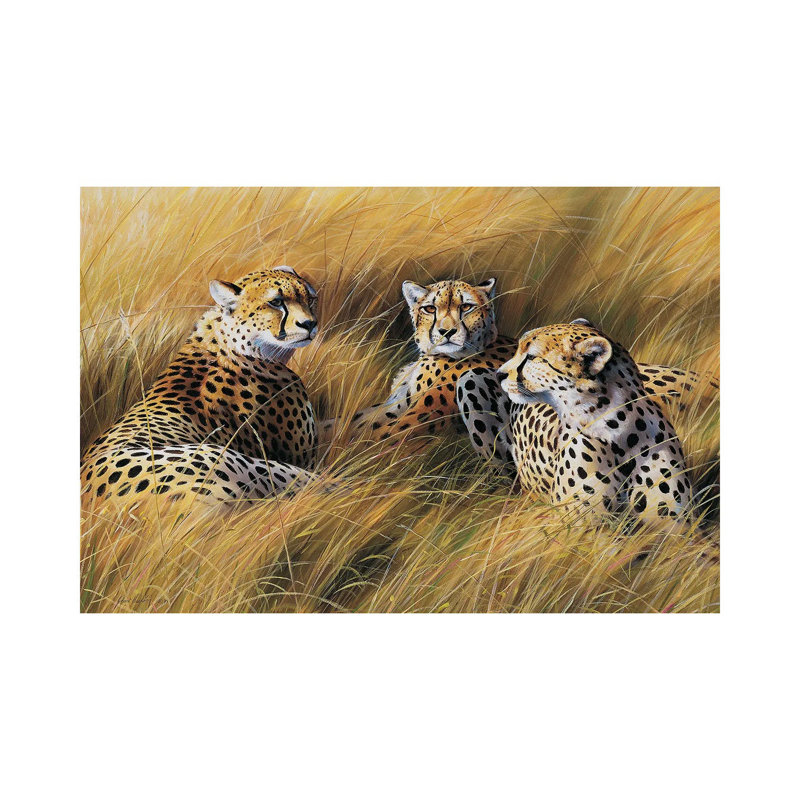 Africa Grass Cheetahs by Grant Hacking - No Frame Gallery-Wrapped Canvas Giclée on Canvas