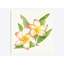 «Tropical Fun Flowers I», reproduction sur toile tendue-27701357-72442513-72442514