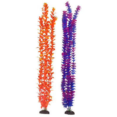 Accessoire d'aquarium 