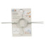 Adelbjrno Plastic Standard Hanger for Dress/Shirt/Sweater