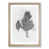 Oak Framed