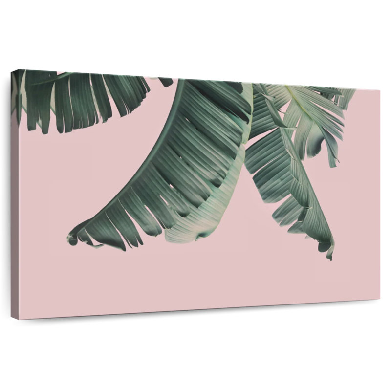 Feuilles de bananier Harnek Blush, H 24 po x l 36 po
