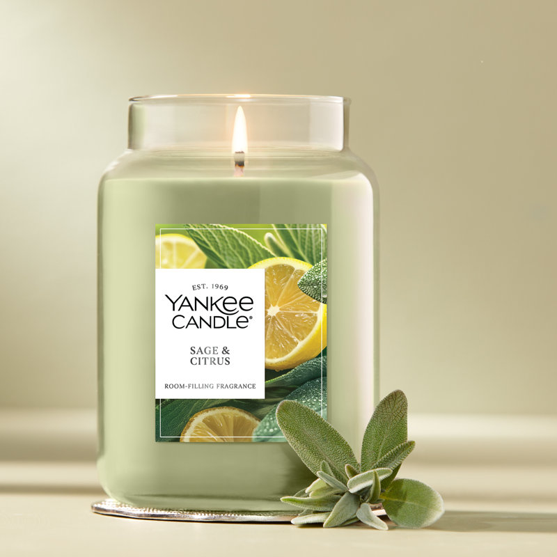  Sage & Citrus Large Scented Candle