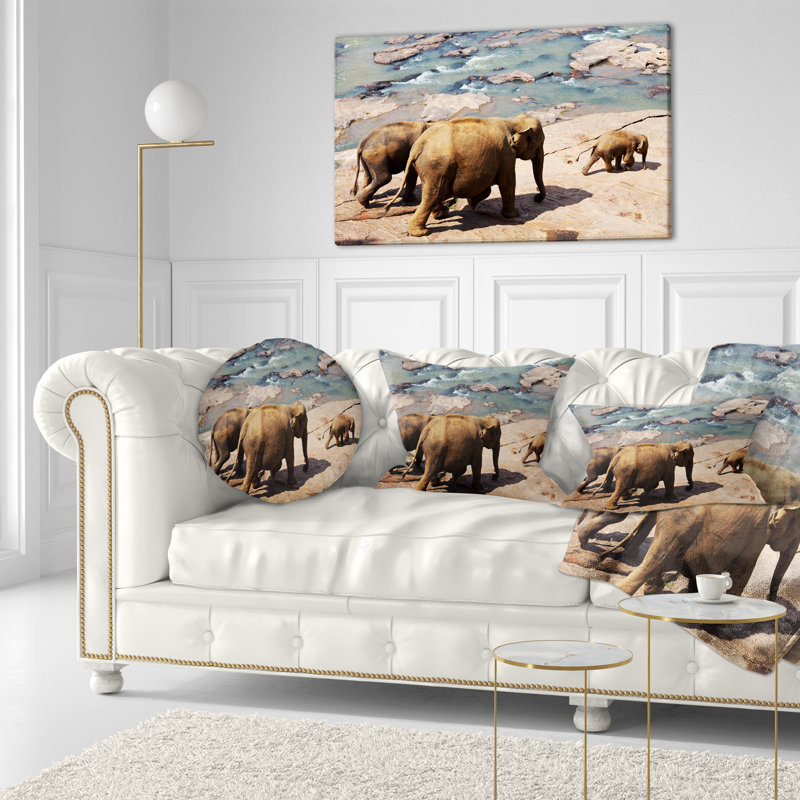 Coussin Schafer