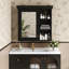 Armoire de rangement murale de salle de bain noire de 30 po x 28 po, charnières à fermeture en douceur et miroir transparent