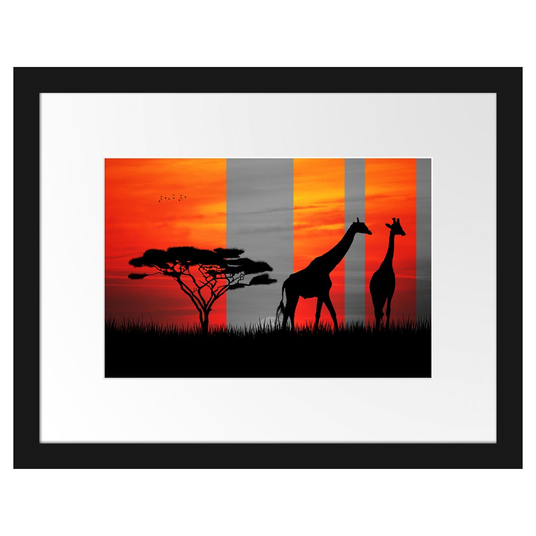 Gerahmtes Poster Afrika Giraffen im Sonnenuntergang