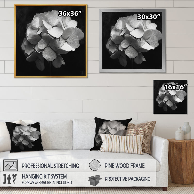 " Gray White Hydrangea Bloom I ", Black Floater Framed, 30" H x 30" W x 1.5" D
