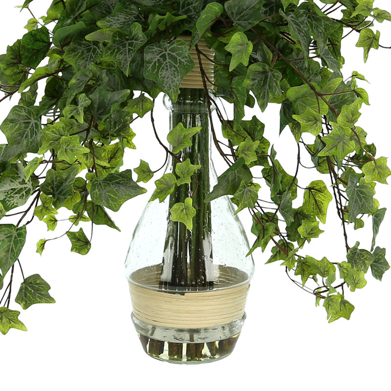 Jenner Faux Ivy Plant in Glass Vase