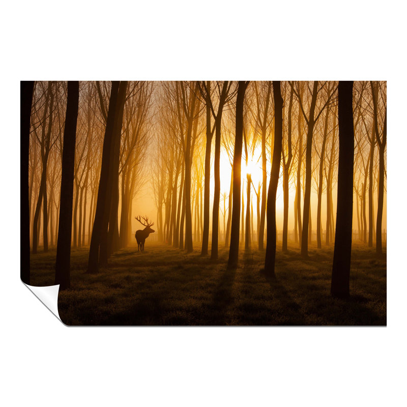 Deer In Golden Forest Wildlife - Wrapped Canvas Print, 91cm H x 61cm W