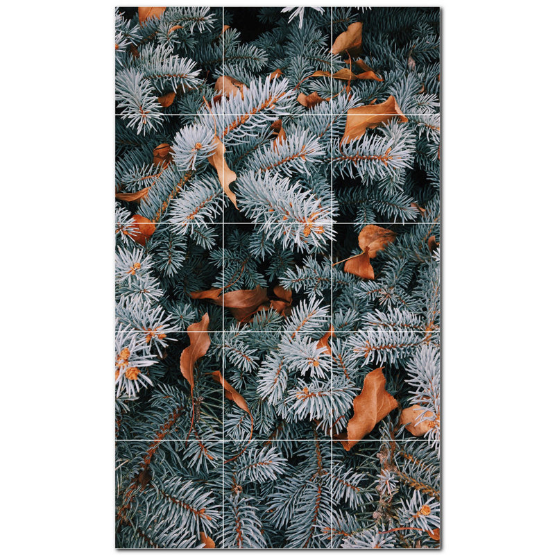 Photo d'hiver 12 x 12