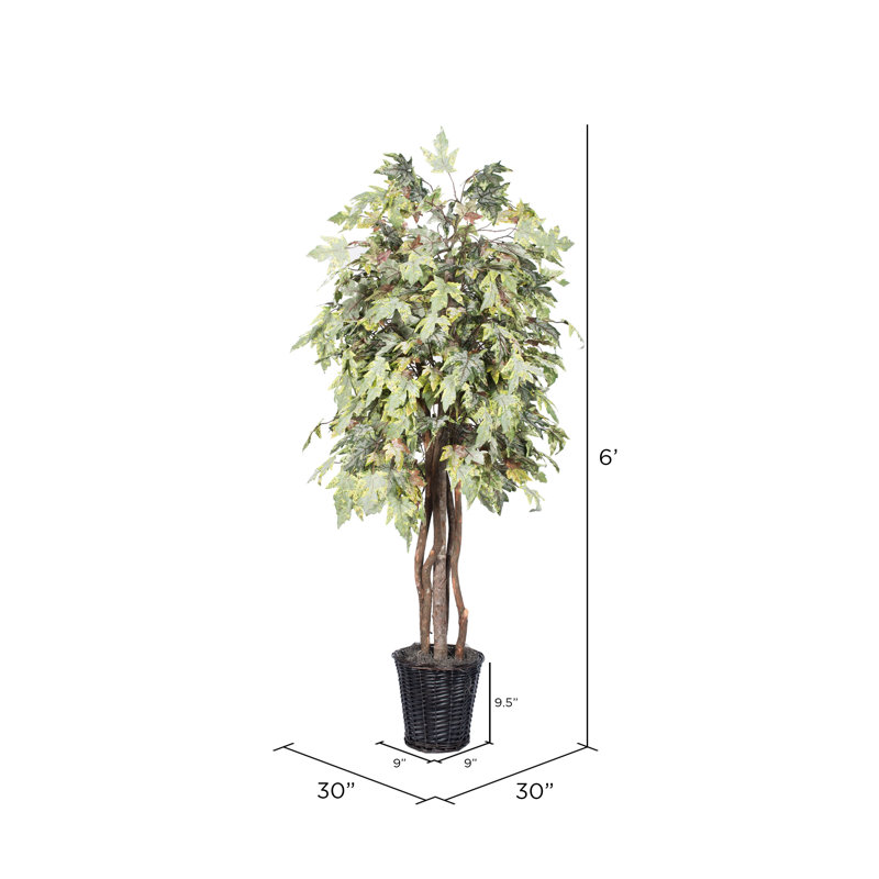 Artificial Frosted Maple Extra Full Series, Brown