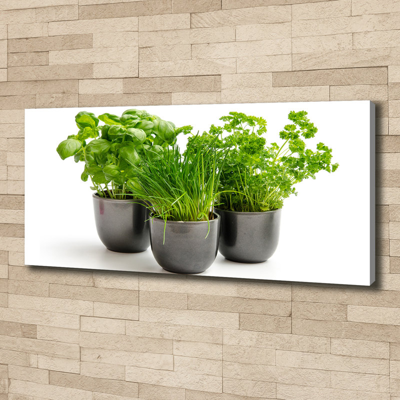 Herbs In Pots - Print, Wrapped Canvas, 50cm H x 125cm W x 2cm D