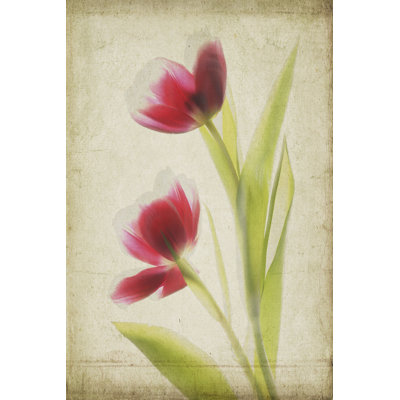 Parchment Flowers III - Wrapped Canvas Print