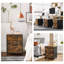 Alieen 2 Drawer Filing Cabinet