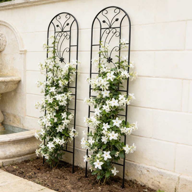 Ensemble de 2 moustiquaires de jardin en métal résistantes à la rouille pour jardin