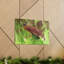 No Frame Print on Canvas-1361205710