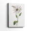 Tropical Botanical III - Cavas enveloppés de galerie-108843961