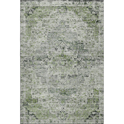 Premium Machine Washable Ashington AMF1832 Global Rug