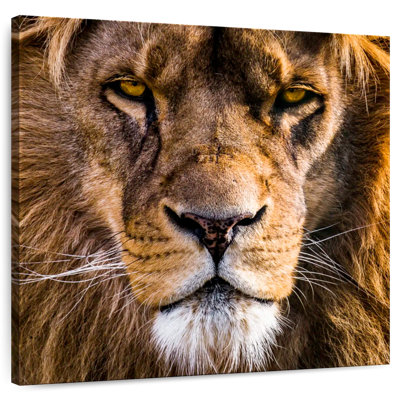 Brampt Regal Lion Head