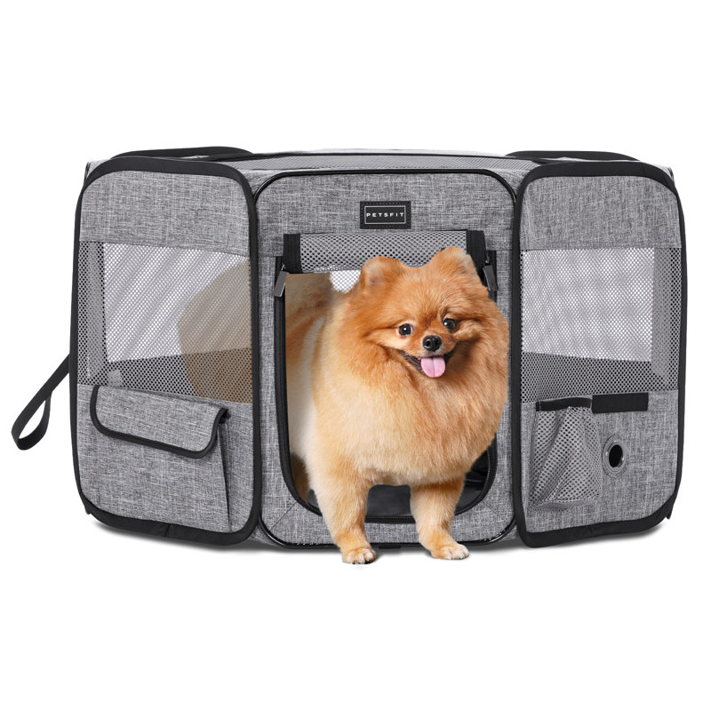 Caisse pour animaux amovible, Noir / gris, Petit (H 16,5 po x l 26,5 po x P 26,5 po)