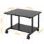 30cm H x 52cm W Printer Stand