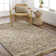 Alessia Abstract Indoor Rug