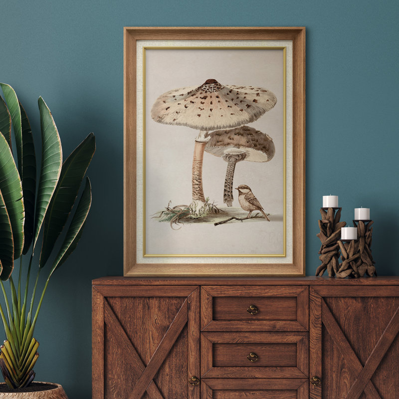 Illustration rétro d'un champignon et d'un oiseau, H 36 po x l 26 po x P 1,5 po, Cadre naturel de qualité supérieure