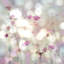 Floral Meadow II par Kate Carrigan - Giclée sur toile tendue avec châssis-72029022-72029020-72029025