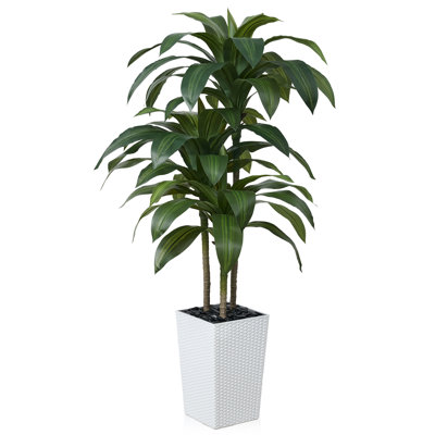 Adcock UV Resistant Artificial Green Dracaena Tree, Faux Tree with Large Base for Indoor Outdoor