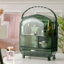 Hainesburg Plastic Makeup Organiser-791777778