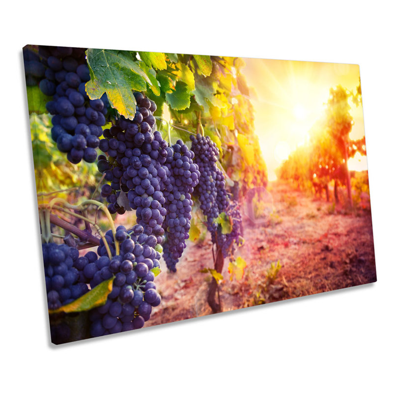 Vineyard Grapes Wine Sunset - Wrapped Canvas Print, 30.5cm H x 45.7cm W x 2cm D