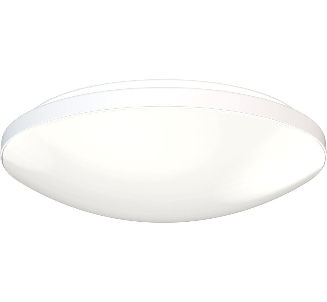 Zaanstad LED Flush Mount Wrought Studio™