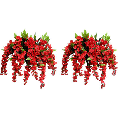 Fleurs et tiges de glycine