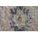 Maximiano Floral Indoor Rug
