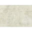 Muted Beige Traditional 8X10 Oriental Area Rug