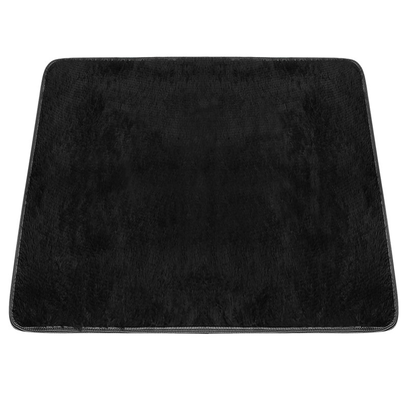 Eryca Indoor Rug, Rectangle 2'7" x 4'