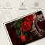 Roses et violon-242907578