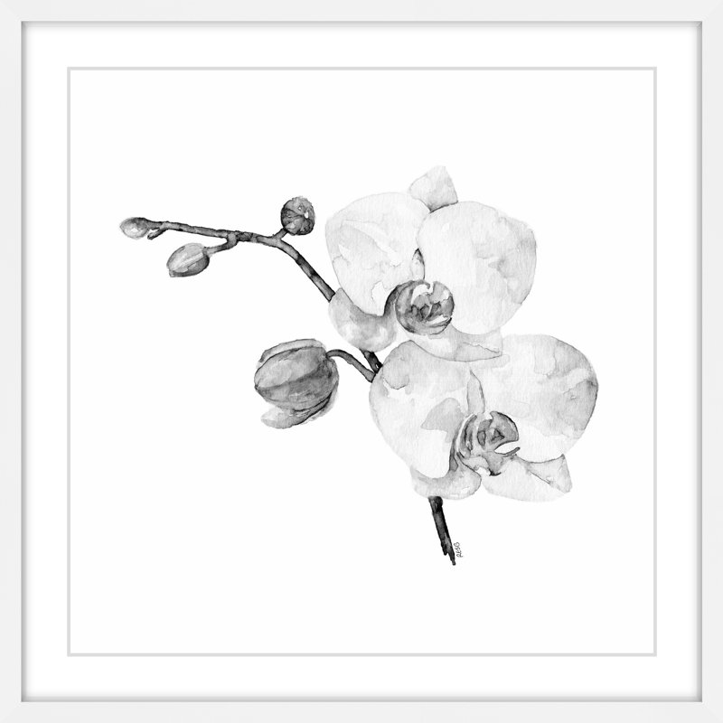" Orchid II " by Rachel Byler, 18" H x 18" W
