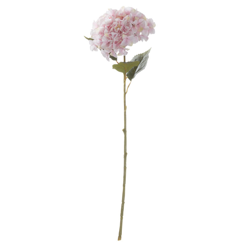 Hydrangea Arrangement