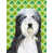 Bearded Collie (White and Black)