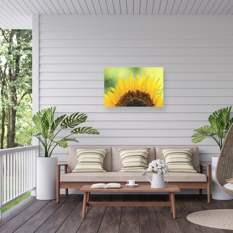 Tournesol boliné 2 sur toile, H 16 po x l 24 po