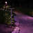 Colorscaping Low Voltage Integrated LED Aluminum Pathway Light-98587955