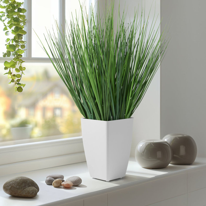 17 po Faux oignon dans un pot rectangulaire blanc