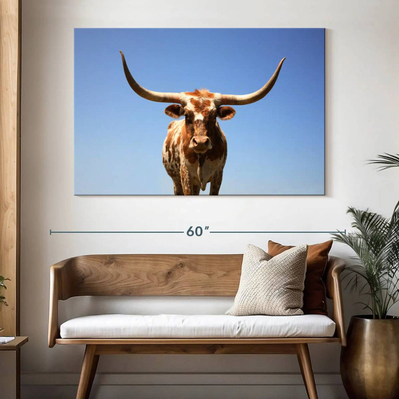 Longhorn Cattle Portrait, 34" H x 51" W