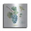 «My Greenhouse Fruit III» par Lisa Audit, art mural en métal-893829323